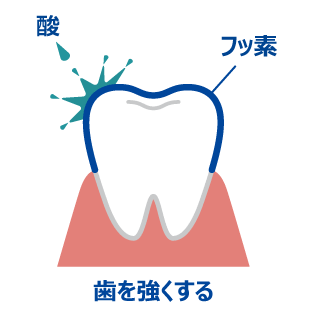 歯を強くする