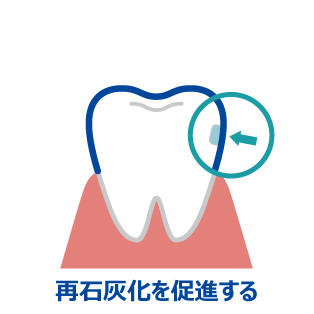 再石灰化を促進する